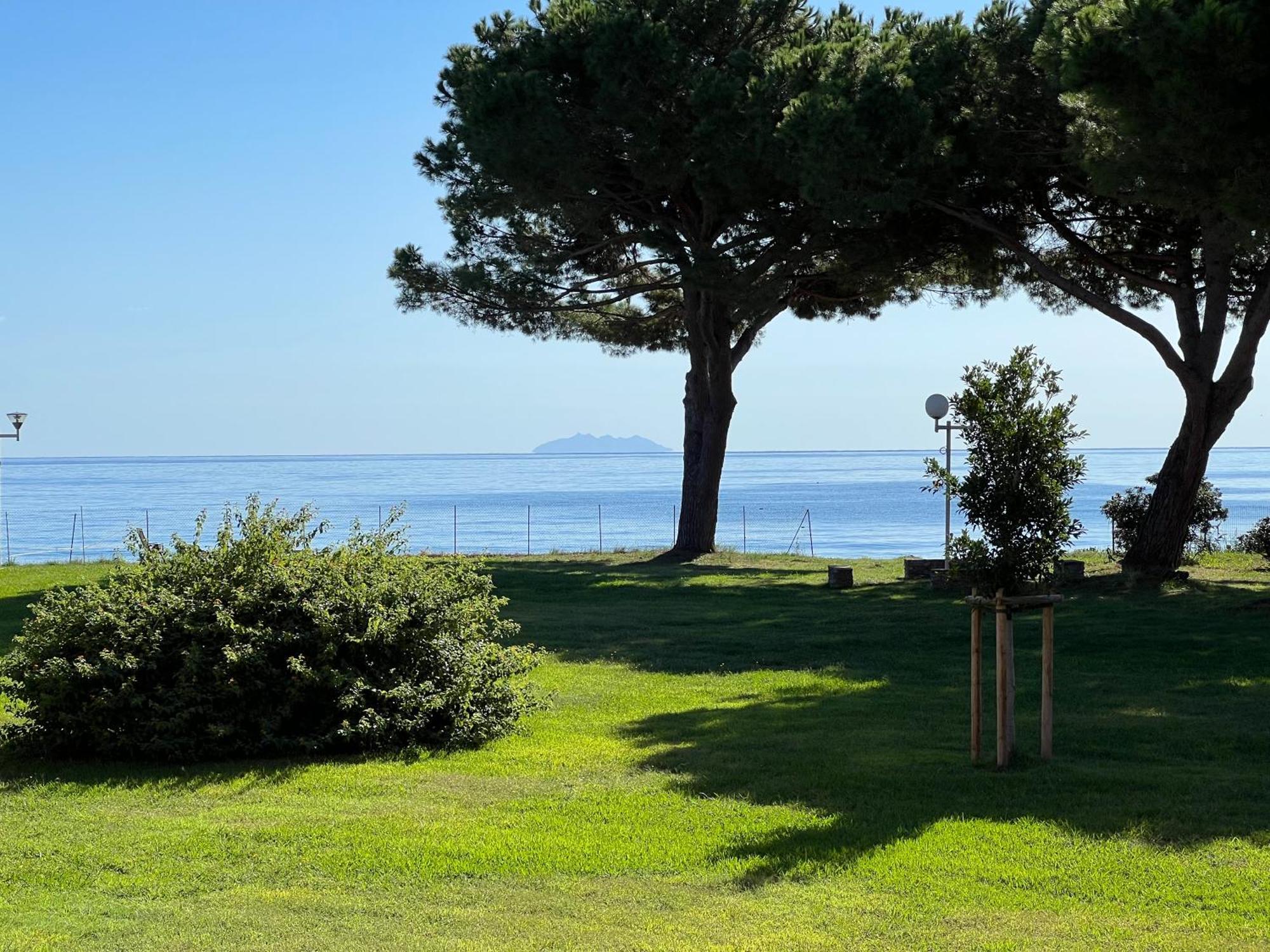 Appartement N 216 Moriani Plage Santa-Lucia-di-Moriani Kültér fotó